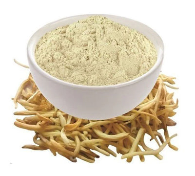 Safed Musli